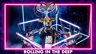 Edelhert  ‘Rolling In The Deep’  Aflevering 1  The Masked Singer  VTM [upl. by Tamra]