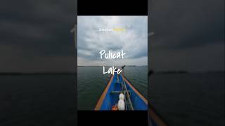 pulicatlake pulicat lake backwaters sea boating onedaytrip nearbychennai fish swimming [upl. by Bertasi]