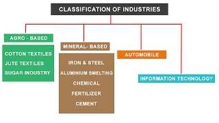 NCERT Class 10  Classification of Industries  Agro Mineral Automobile IT sector [upl. by Acinorehs]