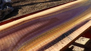 beautiful poplar wood on the mill [upl. by Kalila]