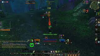 Stuffit Sod Balance Druid 2v1 Level 25 [upl. by Lora]