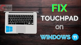 Fix Touchpad not working in Windows 11  CandidTechnology [upl. by Rodmann716]