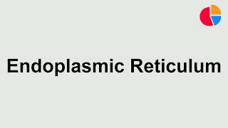 How to Pronounce quotEndoplasmic Reticulumquot [upl. by Sitsuj]