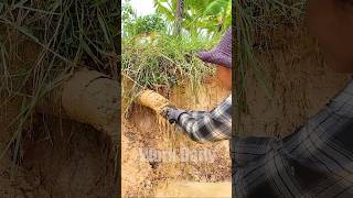 Unclogging Your Drainage Pipe Simple and Effective Solutions shorts unclog satisfying viralvideo [upl. by Lumbye]