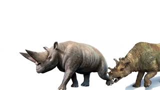 REMASTERED Cenozoic Beasts Size Comparison [upl. by Downes197]