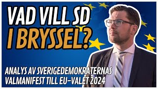 Sverigedemokraterna i Bryssel Analys av partiets EUvalmanifest [upl. by Atterys947]