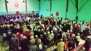 Alcester Poppy Concert 2016 [upl. by Sara-Ann768]