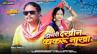 Anil Piplaj New Timli song adivasi song 2024 [upl. by Yeliab]