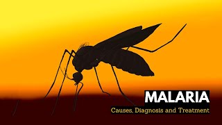 What is Malaria Causes Signs and Symptoms Diagnosis and Treatment [upl. by Ihpen]