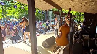 The Town Pants quotRainvillequot Live at Great Blue Heron Music Festival 2024 [upl. by Aneger200]