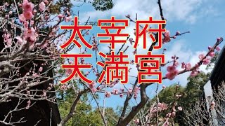 福岡 太宰府天満宮2024年3月22日 [upl. by Haisoj]