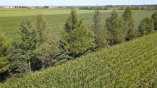 L’agroforesterie au Québec  des exemples inspirants des bénéfices importants [upl. by Olracnaig]