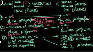 Sustantivos en español el género y el número DELE A1 [upl. by Kathryne]