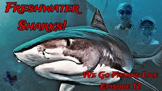 Freshwater SHARKS New Fear UNLOCKED  We Go Fishing Live  Ep 12 [upl. by Uot]