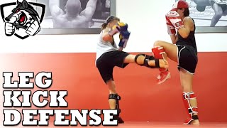 How To Block Low Kicks amp Break Opponents Shins [upl. by Boone]