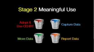 The Four Buckets of Meaningful Use [upl. by Ecniv357]