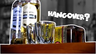 Why Some Alcohol Gives You a Hangover  Congeners  The More You Know [upl. by Iretak]