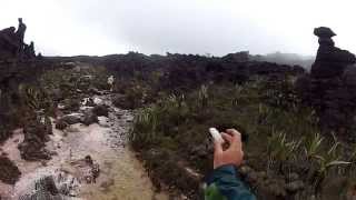 Mount Roraima  Valley of the Crystals [upl. by Noeht]