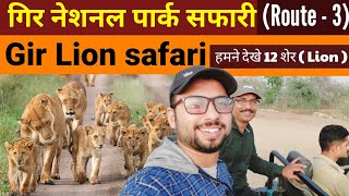 Gir Lion Safari  Gir National Park Route  3 Jungle Safari  Sasan Gir Gujarat  Wildlife safari [upl. by Eidnam]