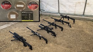 Ultimate 25 Cal FX Test  5 Barrels 5 Projectiles ST STX Slug A Superior Superior Heavy [upl. by Erbma]