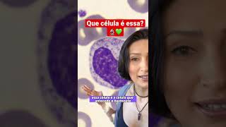 Descrevendo o metamielocito biologia hematologia farmacia biomedicina [upl. by Bennie]