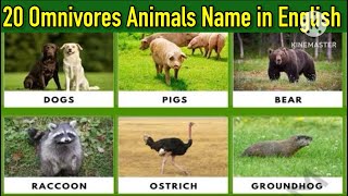 Omnivores Animals20 Omnivores Animals NameOmnivores Animals Name in Englishomnivoresanimals [upl. by Kipper]