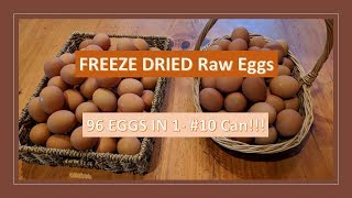 Freeze Dried Raw Eggs [upl. by Lemart]