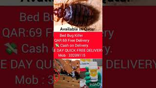 Bed Bug Killer QAR69 Free Delivery Cash on Delivery 33209115 qatarsale dohaqatar dohasale [upl. by Refinej]