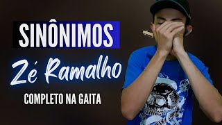 Zé Ramalho Part Chitãozinho e Xororó  Sinônimos Gaita de Boca [upl. by Lathan]