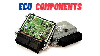 ECU Components [upl. by Rimola]