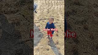 Mohe Mohe mohemoheshorts viralvideo [upl. by Marjy]