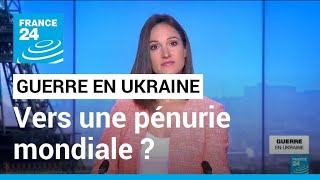 Pénurie de céréales ukrainiennes  la crainte dune crise alimentaire mondiale  • FRANCE 24 [upl. by Twyla814]