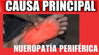 Neuropatía o Dolor Crónico ¿Cuál es la Mejor Opción para Aliviar [upl. by Lurleen960]