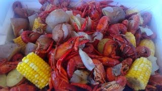 Crawfish Boil with Bella  PoorMansGourmet [upl. by Nnylaj]