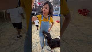 Christina y los animales están muy tristes ☹️ 123andres musicainfantil shorts granja animales [upl. by Anaderol]