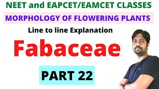 Fabaceae Family NCERT  Morphology of Flowering Plants  PART 22 [upl. by Nonnek]