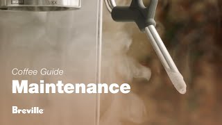 The Barista Express®  How to clean and unblock the steam wand for perfect microfoam  Breville USA [upl. by Bernelle]