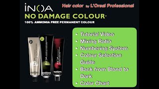 Inoa Tutorial All about ammoniafree hair color Inoa by Loreal Professionnel [upl. by Klute484]