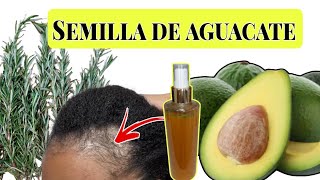 CÓMO HACER CRECER EL CABELLO DETENER LA CAÍDA Y SU ROTURARAÍCES AFROMODA [upl. by Artenal]