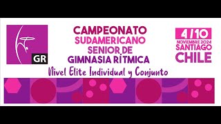 CAMPEONATO y COPA SUDAMERICANA SENIOR DE GIMNASIA RITMICA DIA2 [upl. by Nnairrek]