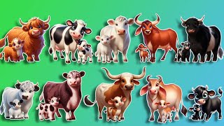 Top 20 Most Popular Cow Breeds 🐮 Learn Animal Names for Kids [upl. by Lekim]