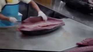 super fast tuna cutting  how to fillet fish [upl. by Aniuqahs]