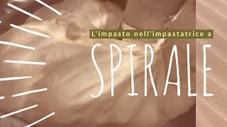 Limpasto nellimpastatrice a spirale [upl. by Landbert272]