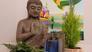 Relax  Chill  Zen Live Stream 8 [upl. by Rita]