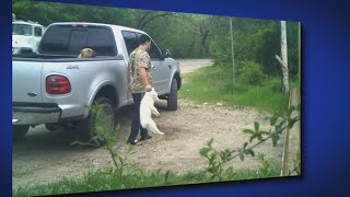 Warning Surveillance video captures man accused of killing 2 puppies Dallas police say [upl. by Salvador]