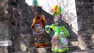 CARNAVAL YAUTEPEC 2015 CHINELOS [upl. by Naiviv]