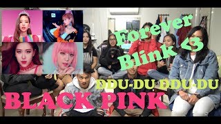 DIVERSITY Blackpink  뚜두뚜두 DDUDU DDUDU Reaction Video  SPECIAL GUEST DOGGO [upl. by Vaughan]