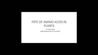 Amino acid synthesis in plants DrSushiel Naik [upl. by Flavian]