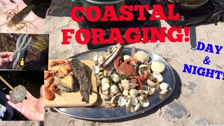 COASTAL FORAGING Clams  Lobsters Abalone  Cook up On The Beach [upl. by Berkie]