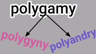 Polygamy polyandry and polygyny [upl. by Ruscher]